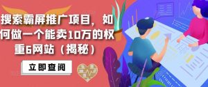 搜索霸屏推广项目，如何做一个能卖10万的权重6网站（揭秘）-无痕资源库