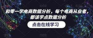 和零一学电商数据分析，每个电商从业者，都该学点数据分析-无痕资源库