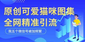 黑科技纯原创可爱猫咪图片，全网精准引流，实操5个VX号被加频繁-无痕资源库