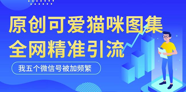 黑科技纯原创可爱猫咪图片,全网精准引流,实操5个VX号被加频繁-无痕资源库