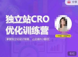 独立站CRO优化训练营，掌握独立站设计秘籍，打造高转化的独立站，让店铺ROI翻倍-无痕资源库