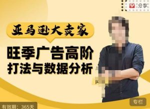 阿甘·亚马逊大卖家广告高阶打法与数据分析，走出传统广告误区；揭秘大卖惯用打法；数据驱动广告决策-无痕资源库