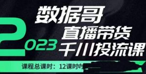 数据哥2023直播电商巨量千川付费投流实操课，快速掌握直播带货运营投放策略-无痕资源库