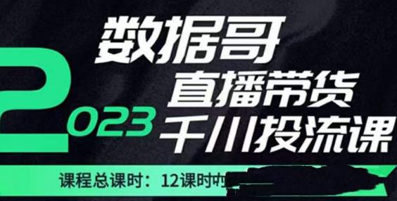数据哥2023直播电商巨量千川付费投流实操课，快速掌握直播带货运营投放策略-无痕资源库