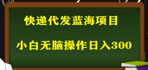 2023最新蓝海快递代发项目，小白零成本照抄也能日入300+-无痕资源库