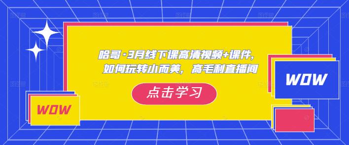 哈哥·3月线下实操课高清视频+课件，如何玩转小而美，高毛利直播间-无痕资源库