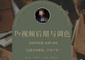 Pr视频后期与调色，视频颜值=后期+调色，这里没有套路，只有干货！-无痕资源库