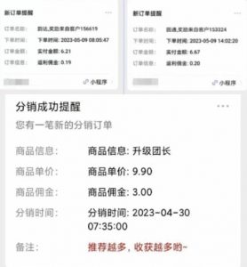 快递代发CPS,月入万元,不起眼却很赚钱的信息差项目【揭秘】-无痕资源库