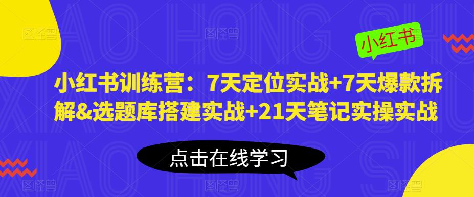 小红书训练营:7天定位实战+7天爆款拆解&选题库搭建实战+21天笔记实操实战-无痕资源库