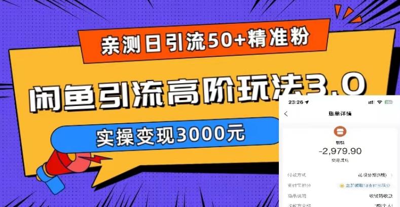 亲测日引50+精准粉，闲鱼引流高阶玩法3.0，实操变现3000元【揭秘】-无痕资源库