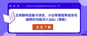 正规暴利流量卡项目，小白零基础零成本无脑照抄也能日入300+【揭秘】-无痕资源库