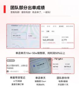 2023小红书电商火爆全网，新晋红利，风口项目，单店收益在3000-30000！-无痕资源库