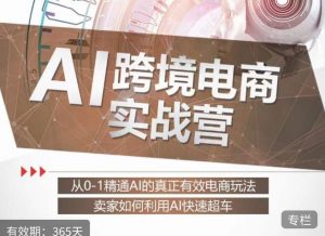 白龙老师·AI跨境电商实战营：从0-1精通Al的真正有效电商玩法，卖家如何利用Al快速超车-无痕资源库