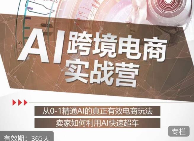 白龙老师·AI跨境电商实战营:从0-1精通Al的真正有效电商玩法,卖家如何利用Al快速超车-无痕资源库