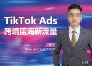 稳哥·如何投出高ROI的TikTok广告，开拓独立站卖家流量新蓝海-无痕资源库