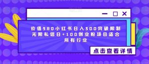 价值980小红书日入300突破限制无限私信日+100创业粉项目适合所有行业-无痕资源库