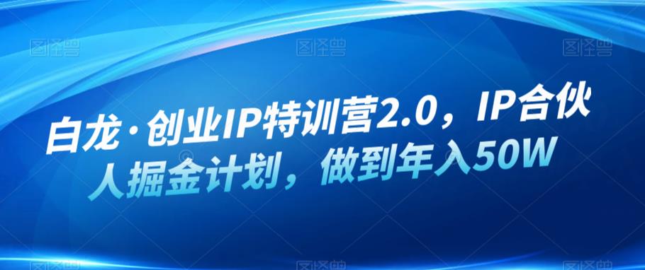白龙·创业IP特训营2.0，IP合伙人掘金计划，做到年入50W-无痕资源库