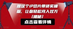 蹭这个IP切片带货实操版，让你轻松月入过万【揭秘】-无痕资源库