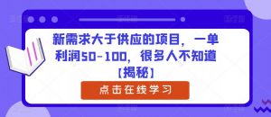 新需求大于供应的项目，一单利润50-100，很多人不知道【揭秘】-无痕资源库