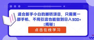 适合新手小白的搬砖项目，只需要一部手机、不用引流也能做到日入300+【揭秘】-无痕资源库