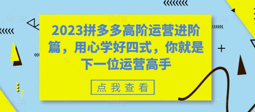 2023拼多多高阶运营进阶篇，用心学好四式，你就是下一位运营高手-无痕资源库