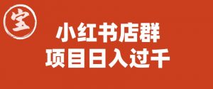 宝哥小红书店群项目,日入过千(图文教程)【揭秘】-无痕资源库