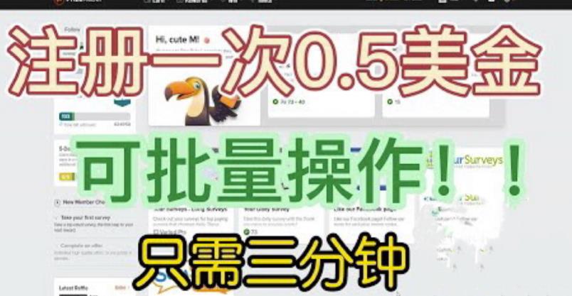 国外项目注册一次0.5美金，只需三分钟无脑操作，可批量同时放大操作，小白工作室福利【揭秘】-无痕资源库