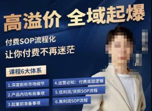 逸风-拼多多高溢价全域起爆,6大课程体系,付费玩法全套实操-无痕资源库