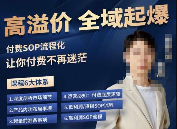 逸风-拼多多高溢价全域起爆，6大课程体系，付费玩法全套实操-无痕资源库