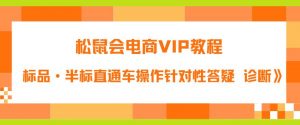 松鼠会电商VIP教程：松鼠《付费推广标品·半标直通车操作针对性答疑&诊断》-无痕资源库