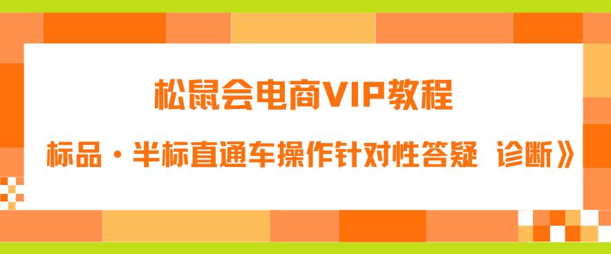 松鼠会电商VIP教程：松鼠《付费推广标品·半标直通车操作针对性答疑&诊断》-无痕资源库