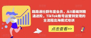 路路通社群年度会员，从0基础到精通进阶，TikTok账号运营到变现的全流程出海模式培训-无痕资源库
