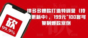 拼多多爆款打造特训营(持续更新中),199元*100套可复制爆款案例-无痕资源库
