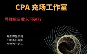 cpa充场工作室，号称单日收入10000+（揭秘）-无痕资源库