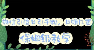 微信互推圈半自动引流方案,矩阵操作日引千人思路【详细视频教程】-无痕资源库