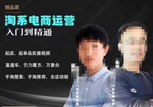 2023手淘搜索实操课+体系化课程,起店起单品实操视频课程-无痕资源库