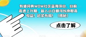 有道词典WOW社区蓝海项目，目前高速上升期，新人小白都可以换取高收益！赶紧布局！【揭秘】-无痕资源库