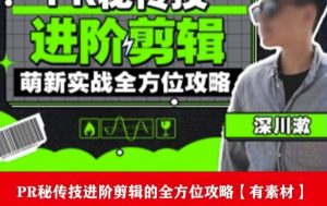 PR进阶剪辑培训班，让你快速成为剪辑大师12节视频课程+素材！-无痕资源库