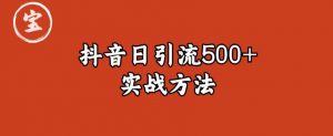 宝哥抖音直播引流私域的6个方法，日引流500+-无痕资源库