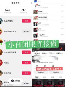 一天做完别一辈子的视频制作最近很火的《1000个野路子信息差》100%过原创【揭秘】-无痕资源库