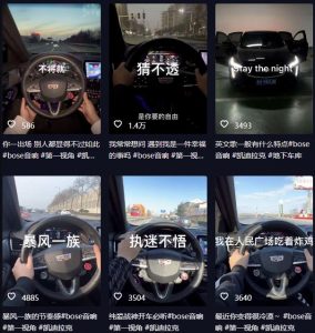 抖音开车视频项目，0基础操作，每天五分钟，月入1W+【揭秘】-无痕资源库