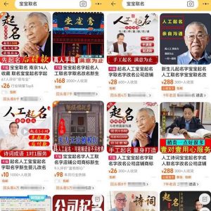 拆解小红书宝宝起名虚拟副业项目,一条龙实操玩法分享给你(教程+软件)-无痕资源库