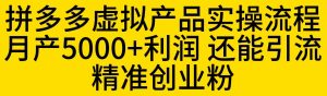 拼多多虚拟产品实操流程,月产5000+利润,还能引流精准创业粉【揭秘】-无痕资源库
