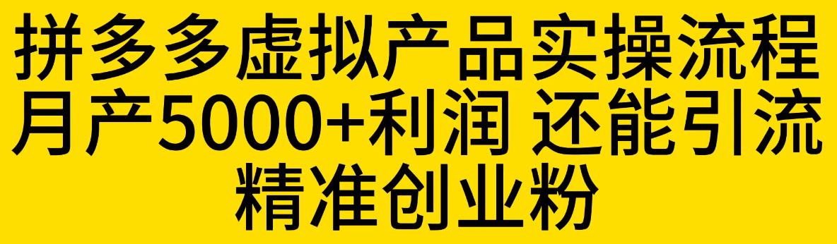 拼多多虚拟产品实操流程，月产5000+利润，还能引流精准创业粉【揭秘】-无痕资源库