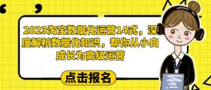 2023淘宝数据化运营14式，深度解析数据化知识，帮你从小白成长为高级运营-无痕资源库