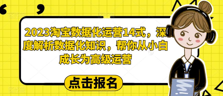 2023淘宝数据化运营14式，深度解析数据化知识，帮你从小白成长为高级运营-无痕资源库