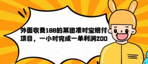 外面收费188的美团准时宝赔付项目，一小时完成一单利润200【仅揭秘】-无痕资源库