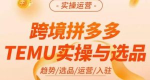 伍跃·跨境拼多多TEMU实操与选品，​趋势/选品/运营/入住（27节完整）-无痕资源库