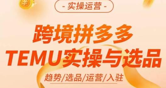 伍跃·跨境拼多多TEMU实操与选品，​趋势/选品/运营/入住（27节完整）-无痕资源库
