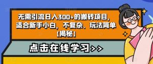 4个冷门副业思路玩法，从0到1，闷声发财，让你实现财富自由【揭秘】-无痕资源库